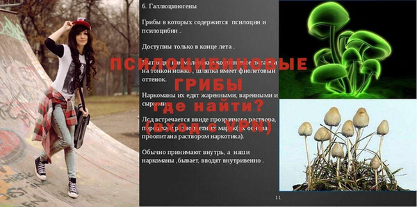 ГАЛЛЮЦИНОГЕННЫЕ ГРИБЫ Алексин