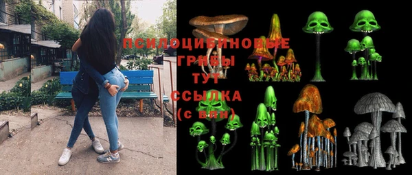 индика Алексеевка