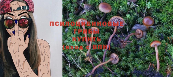 ГАЛЛЮЦИНОГЕННЫЕ ГРИБЫ Алексин