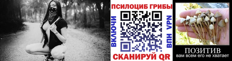 Псилоцибиновые грибы Cubensis  Новоузенск 